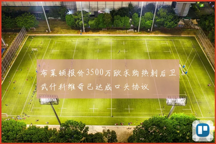 布莱顿报价3500万欧求购热刺后卫武什科维奇已达成口头协议