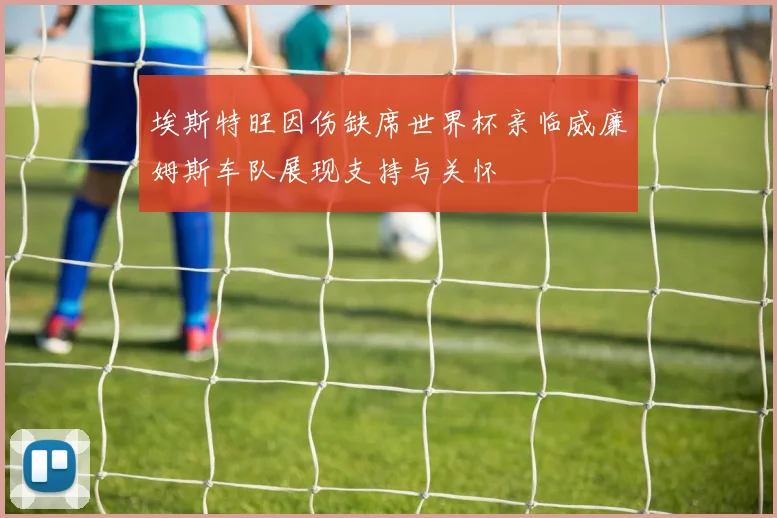 埃斯特旺因伤缺席世界杯亲临威廉姆斯车队展现支持与关怀